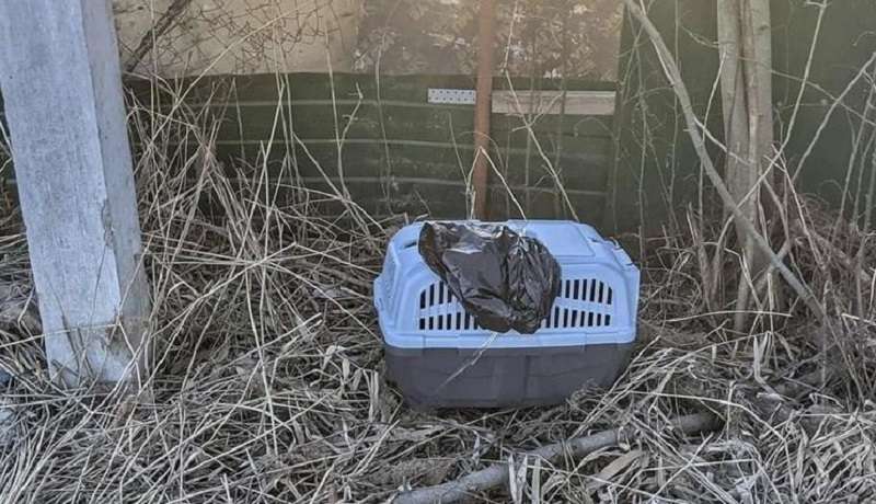 I proprietari frustrati hanno abbandonato il loro cucciolo alla stazione di servizio