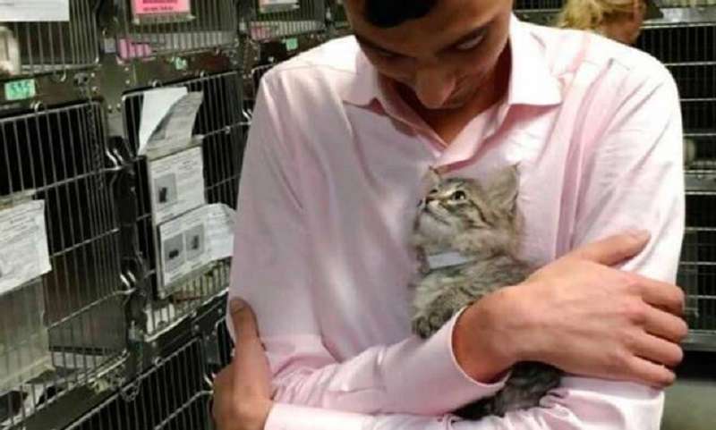 La gattina del rifugio stessa ha scelto il suo proprietario, saltando tra le sue braccia
