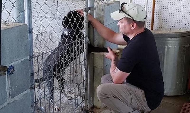 Il cane, sognando di trovare un proprietario, incontrava ogni visitatore, tendeva la zampa e lo guardava negli occhi in modo significativo