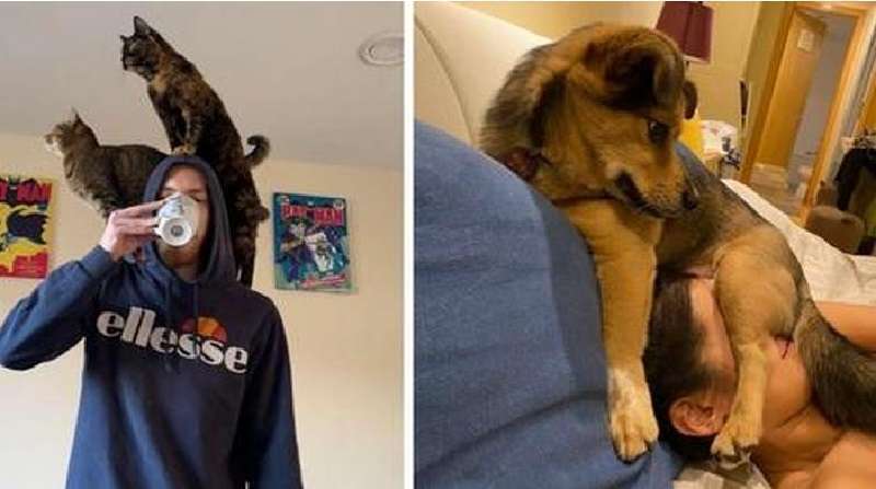 15 volte le persone erano convinte di aver perso il loro spazio personale nel momento in cui hanno ricevuto un animale domestico