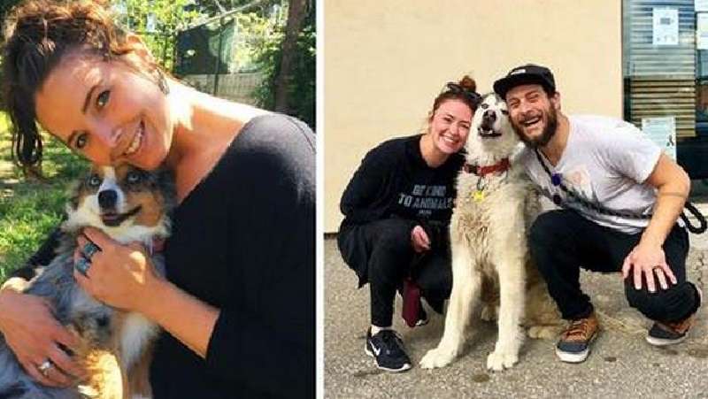 15 cani che sono appena stati portati via dal canile – e non possono nascondere la loro felicità