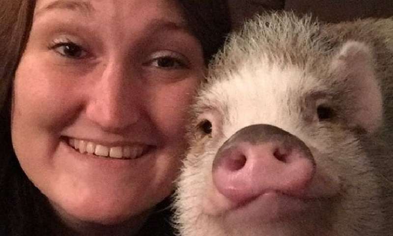 Il vero amore degli animali per i loro padroni, che risplende in ogni sguardo