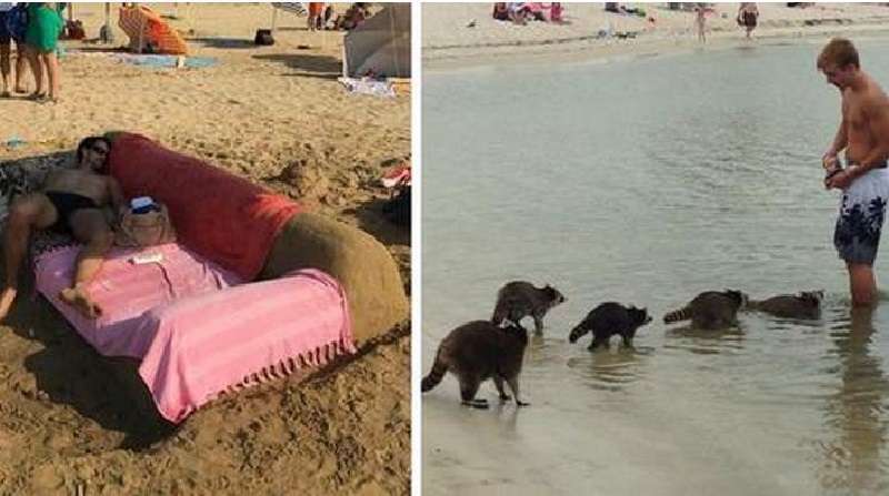 15 foto di cose strane e divertenti che la gente ha notato sulle spiagge