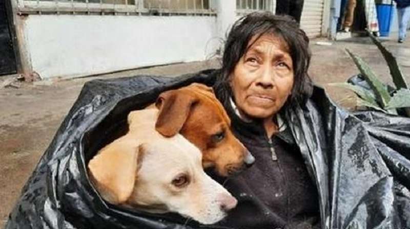 La senzatetto dà il suo amore agli amici a quattro zampe