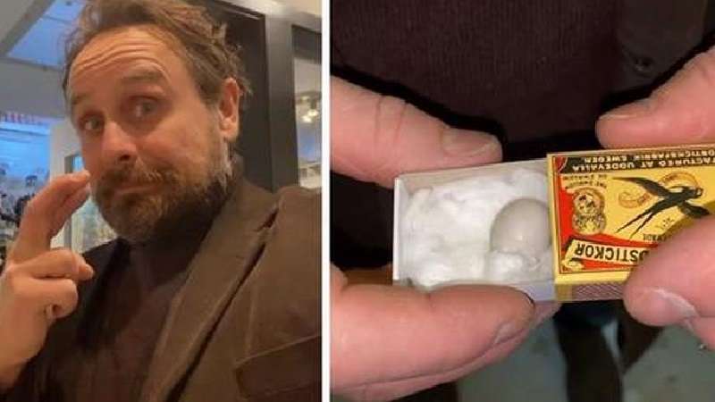 L'uomo ha trovato un piccolo uovo in un negozio di animali e ha deciso di salvarlo. La ricompensa per i suoi sforzi era un bel pappagallo