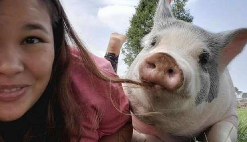 La ragazza ha salvato il maiale malato, e ora è il più felice