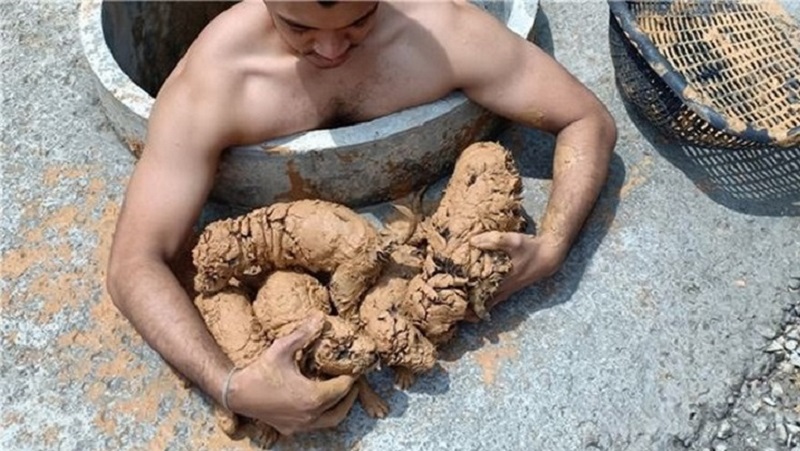 Un giovane gentile ha salvato cinque piccoli animali dal fango denso, non sapendo chi fossero