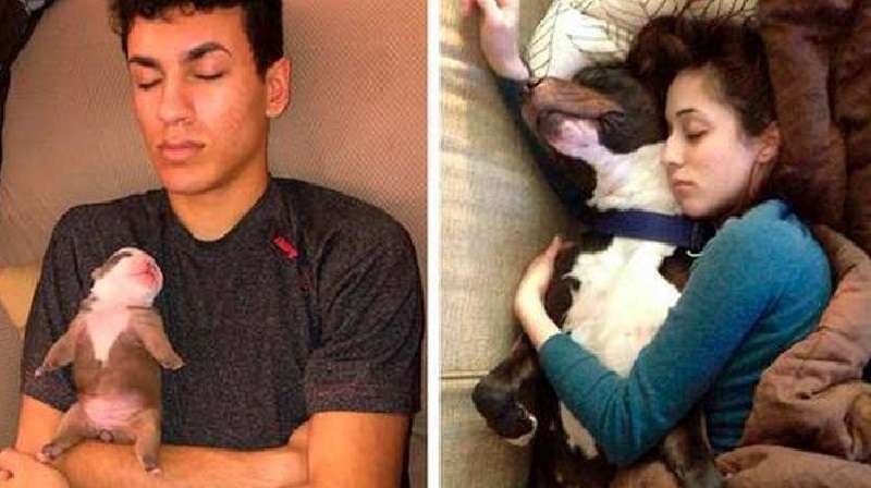 Queste dieci persone serviranno volentieri da cuscino e coperta per i loro animali domestici.