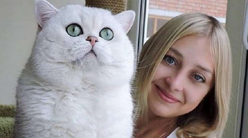 10 foto di gatti domestici giganti che fanno paura