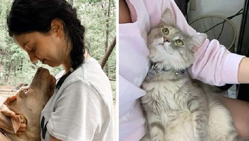 Gatti e cani che danno a una persona amore e gratitudine sconfinata. E come sembrano…