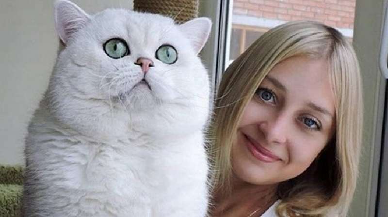 10 foto di enormi gatti domestici che ti fanno sentire a disagio