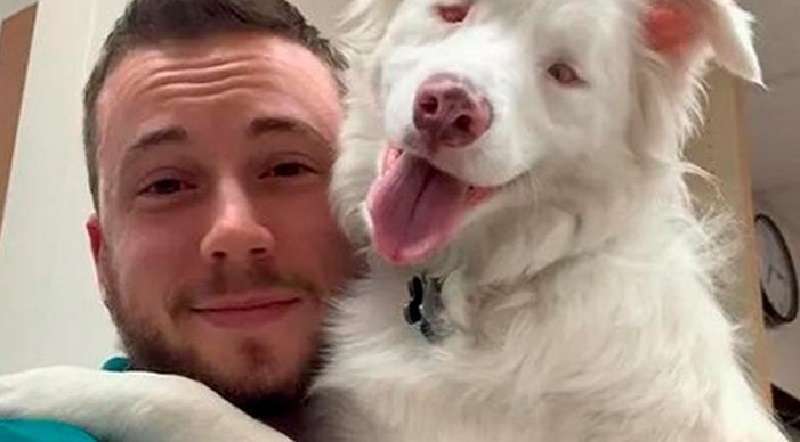 Il cane sordo e cieco aveva paura di essere toccato, ma il proprietario ha capito come aiutarla