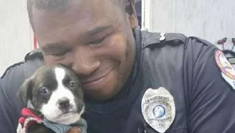 La chiamata notturna porta il poliziotto a un piccolo cucciolo