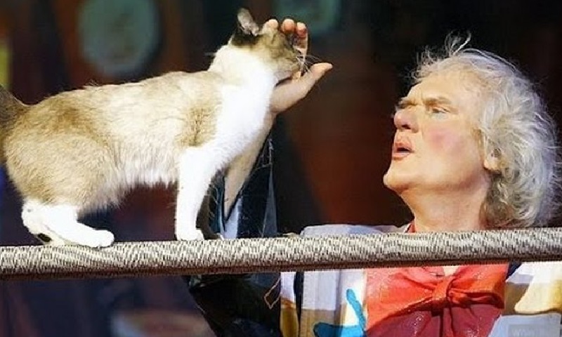 I gatti più carismatici del mondo del Teatro Kuklachev