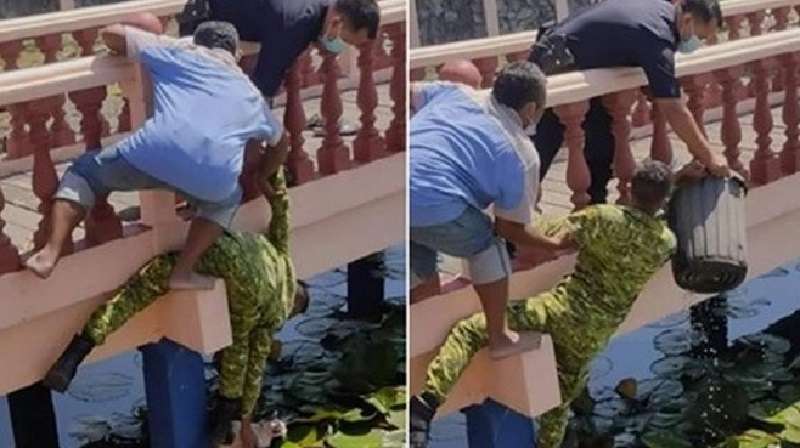 Un soldato, un poliziotto e un passante hanno salvato un gatto con un secchio