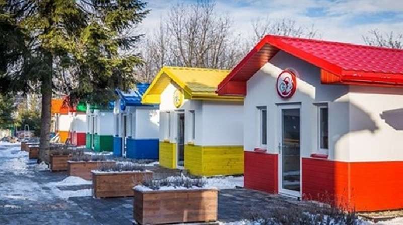 Il veterinario ha costruito un intero villaggio per cani con case vere