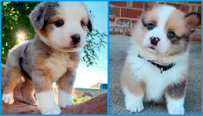 12 Cuties da cui non riesci a staccare gli occhi