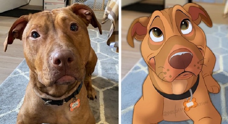 15 animali disegnati in stile Disney e portati al meglio della loro carineria