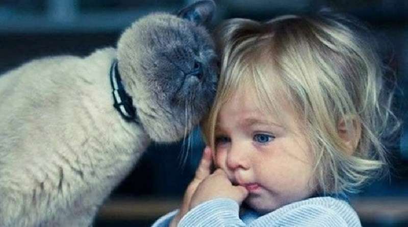 L'amour cat-like nelle foto presentate