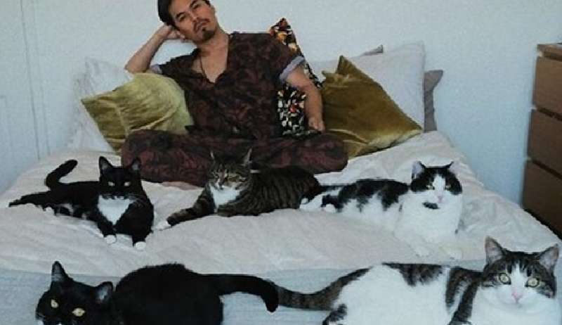 The Cat Baron: La storia di come una gatta incinta ha cambiato la vita di una persona
