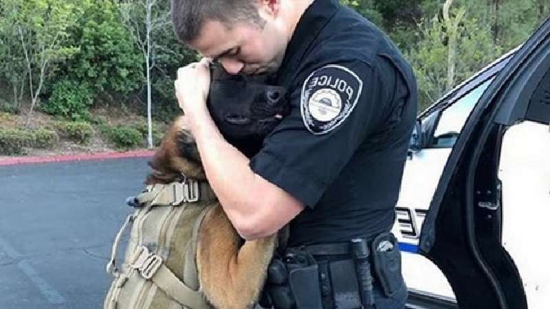 15 foto emozionanti di cani e dei loro proprietari
