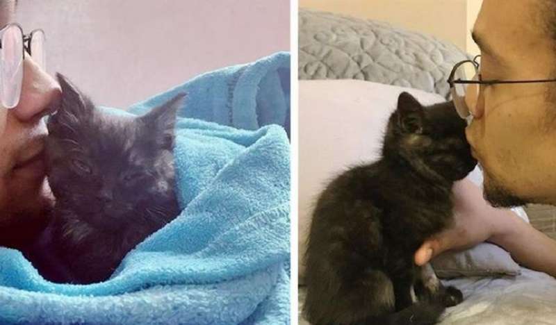 La coppia ha salvato la vita del gattino e si è rivelato un animale domestico meraviglioso con un cuore enorme