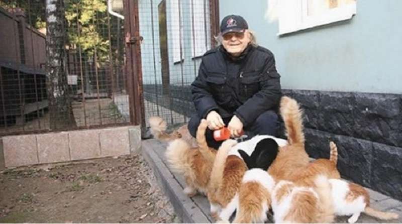Quali celebrità sono accanite amanti dei gatti?