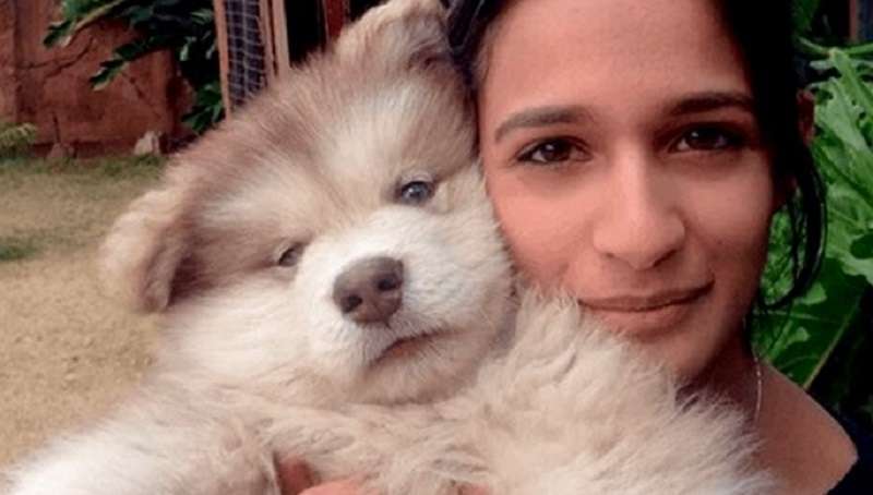 La ragazza ha portato a casa un cucciolo. Un cane adulto è diventato enorme, più di un'amante.