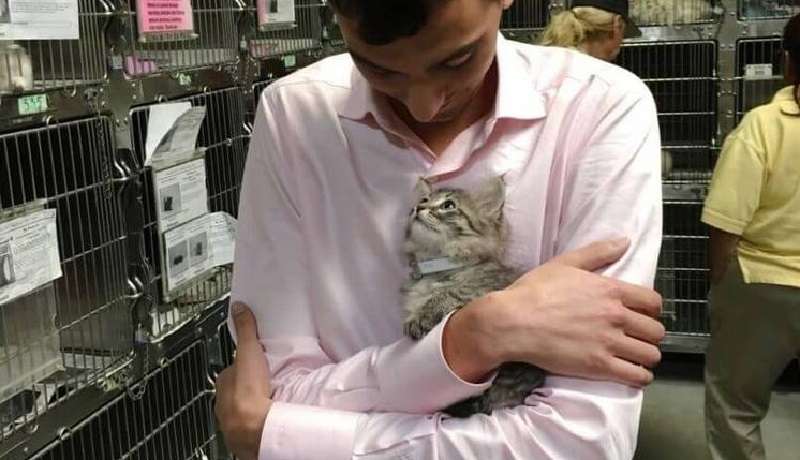 Il gattino del rifugio gli saltò tra le braccia e gli disse in segreto che l'avrebbe portata a casa