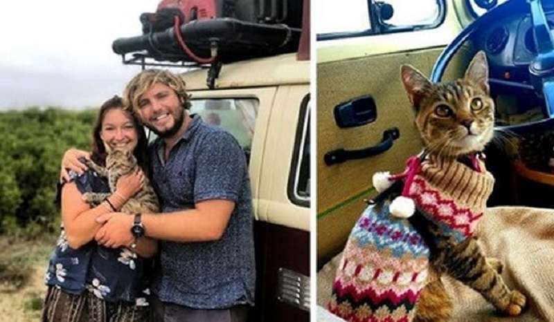 La coppia è rimasta in Messico per un anno perché non potevano lasciare il gatto salvato