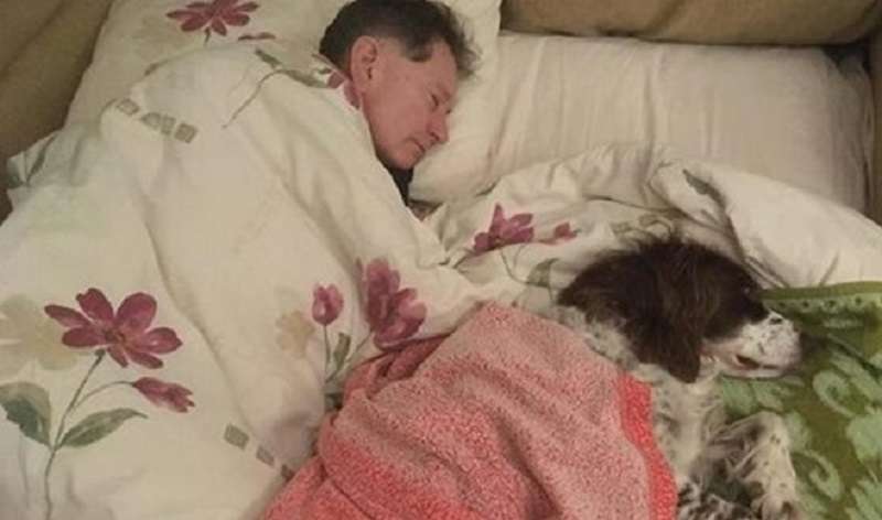 I proprietari, a turno, dormono sul divano con il vecchio cane in modo che non si senta solo