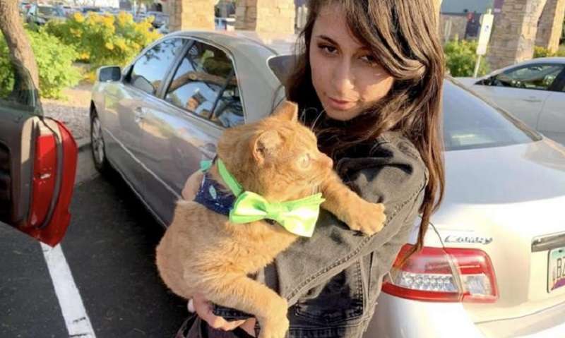 Negli Stati Uniti trovato il gatto più “sorpreso”.