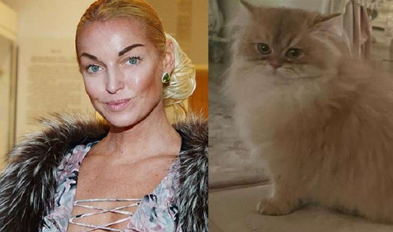 Anastasia Volochkova ha un gatto del valore di mezzo milione di rubli