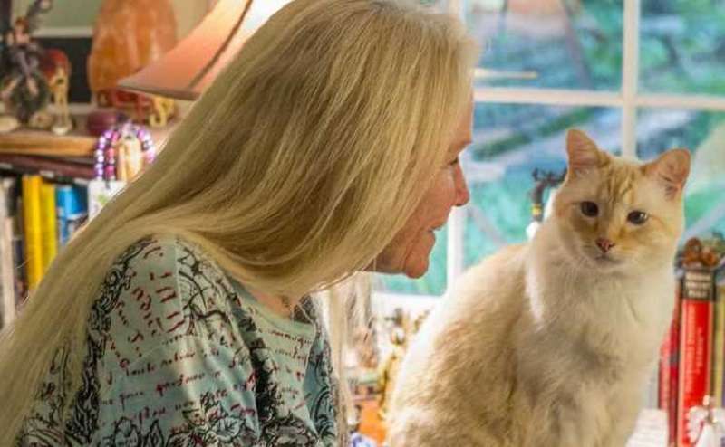 I gatti capiscono il linguaggio umano: modi semplici per comunicare con un animale domestico