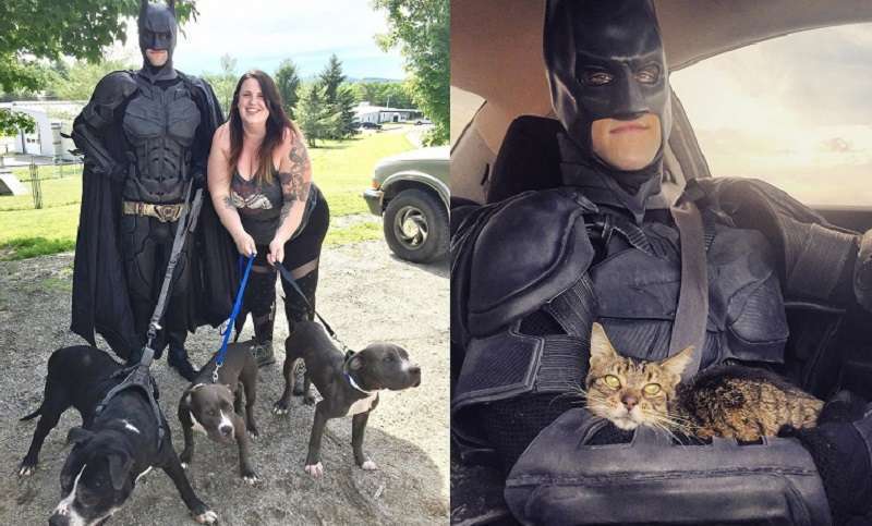 Un uomo vestito da Batman salva animali senzatetto negli Stati Uniti