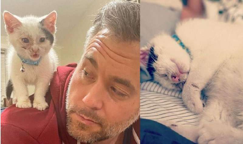 Abbiamo reso felice il gattino: ora è addomesticato, si arrampica sulla sua spalla e sembra gioioso con due occhi sani