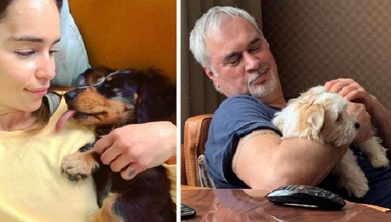 15 foto di personaggi famosi che amano i loro amici pelosi