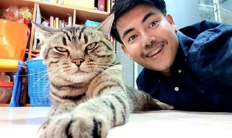 Il ragazzo ha installato una telecamera nascosta nella camera da letto e ha scoperto come il gatto lo tratta di notte