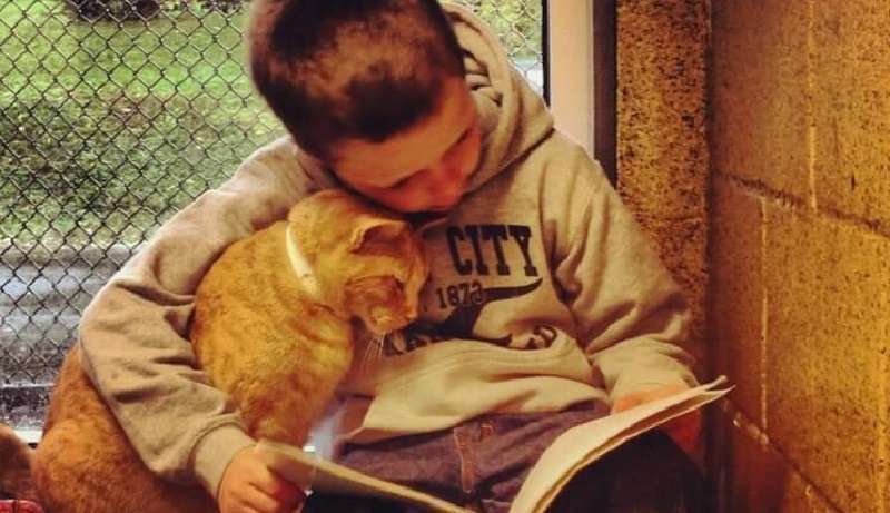 15 prove di quanto siano versatili e talentuosi i gatti