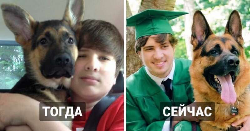 Cani e gatti che sono cresciuti fianco a fianco con la persona amata – 15 foto