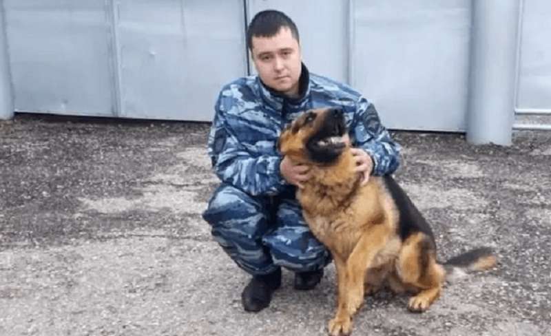 Il cane ha trovato un bambino scomparso, fino alla vita in una palude
