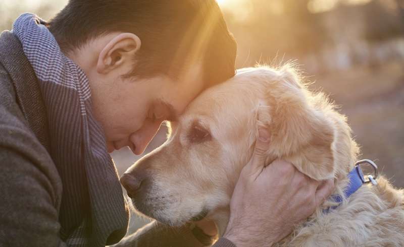 I cani possono facilmente capire il linguaggio umano, secondo uno studio recente.