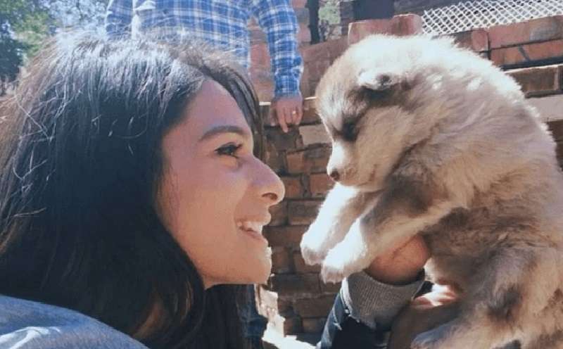 La ragazza ha adottato un piccolo cucciolo. Ora il cane è cresciuto ed è diventato più grande della padrona