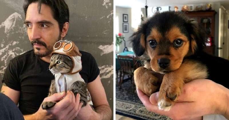 Giorni felici per chi si è svegliato ieri in un rifugio – 14 foto di animali domestici