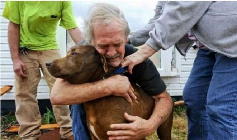 Un uomo ha salvato un cane malato spendendo i risparmi di una vita