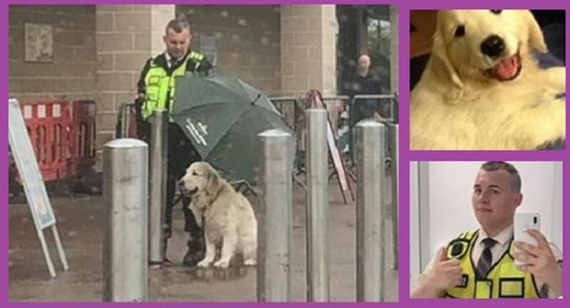 L'atto della guardia, che ha coperto il cane di qualcun altro con un ombrello, ha toccato i social