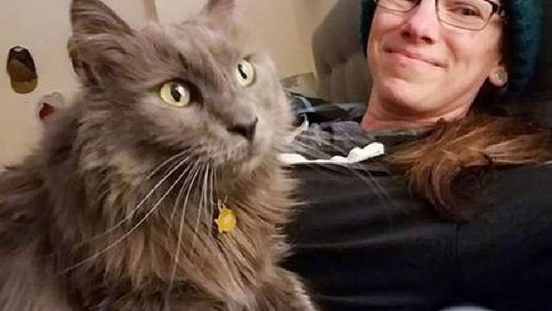 Un gatto amante delle passeggiate una volta tornò con una nota insolita di un vicino.