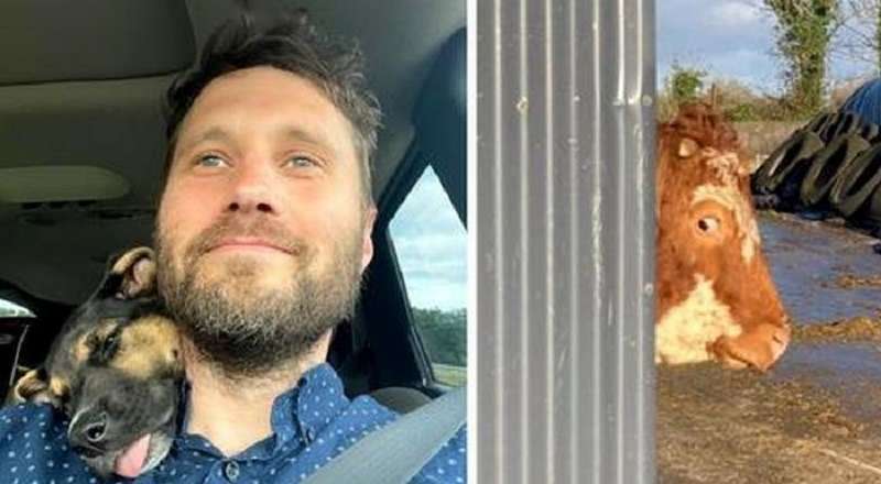 15 volte i tuoi animali sono andati male, mostrando il loro lato sciocco a tutti