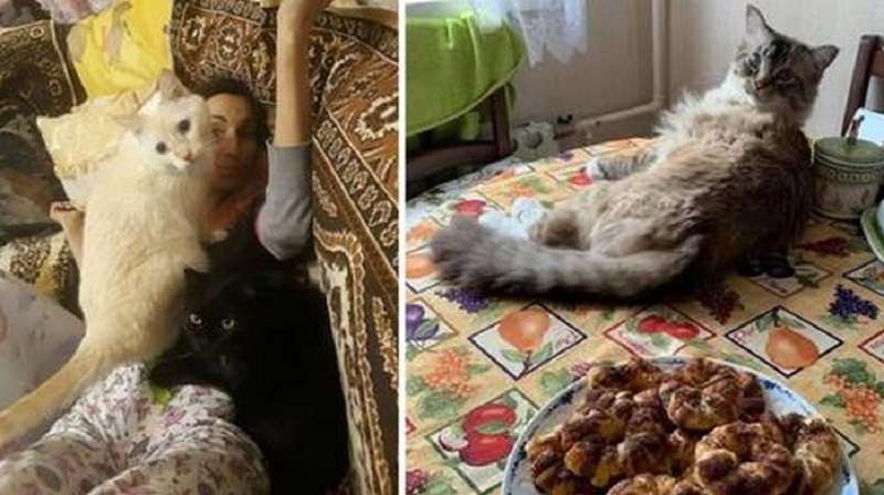 Non sarai mai più solo se hai un animale domestico. 15 foto