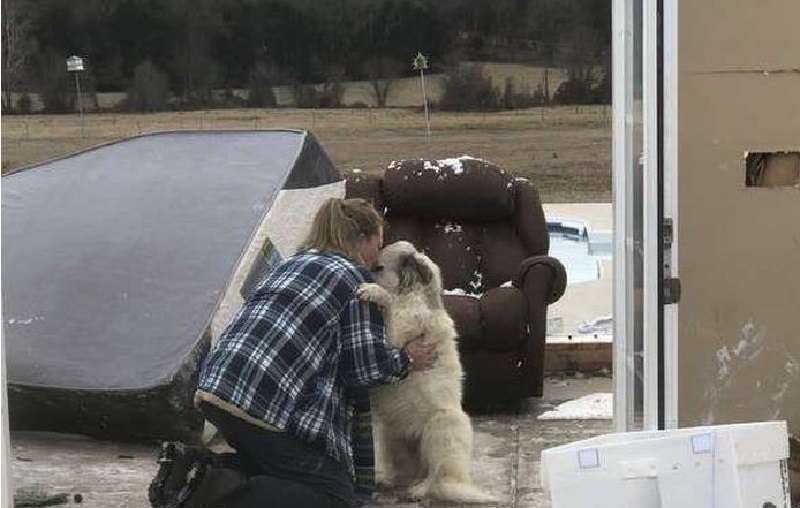 Famiglia costretta a lasciare il cane a casa pochi istanti prima del tornado